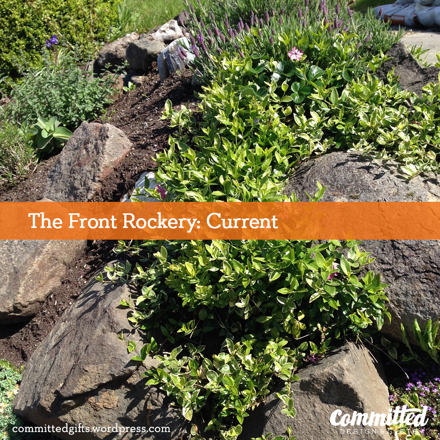 Rockery plantings