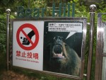 Don't Feed the Bears
